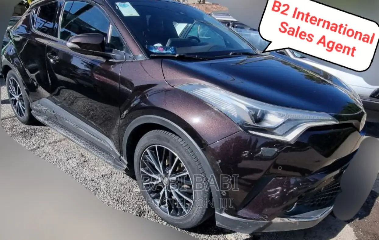 Toyota C-HR 2019 Burgundy
