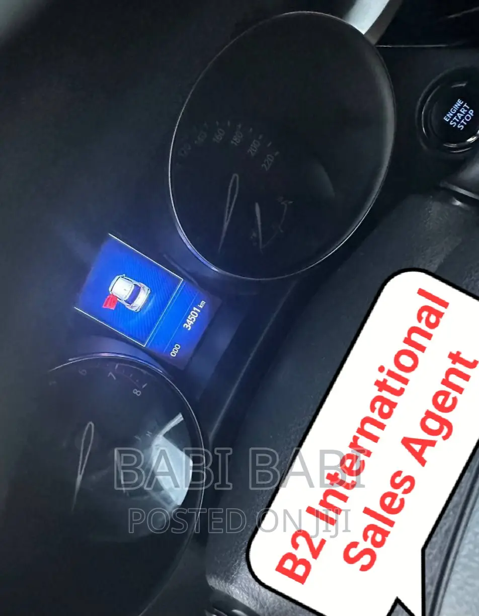 Toyota C-HR 2019 Burgundy