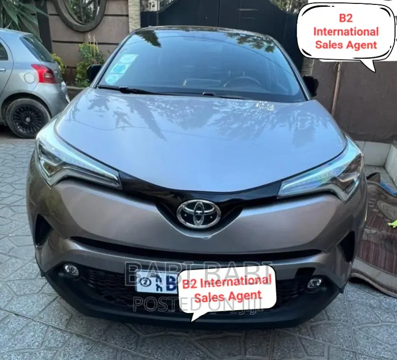 Toyota C-HR 2019 Pearl