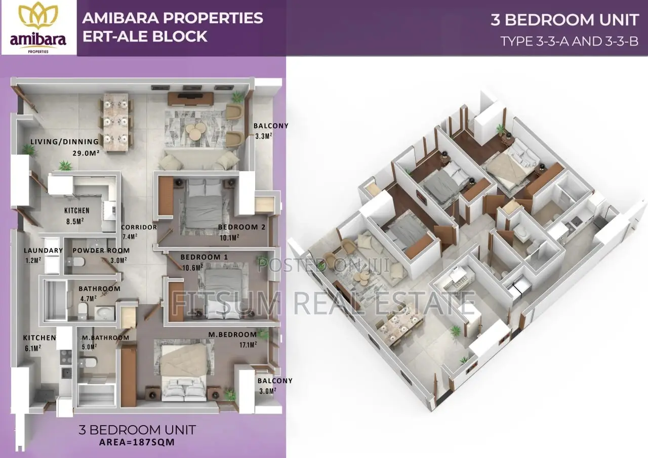 2bdrm Apartment in Central Plaza, Lideta for sale