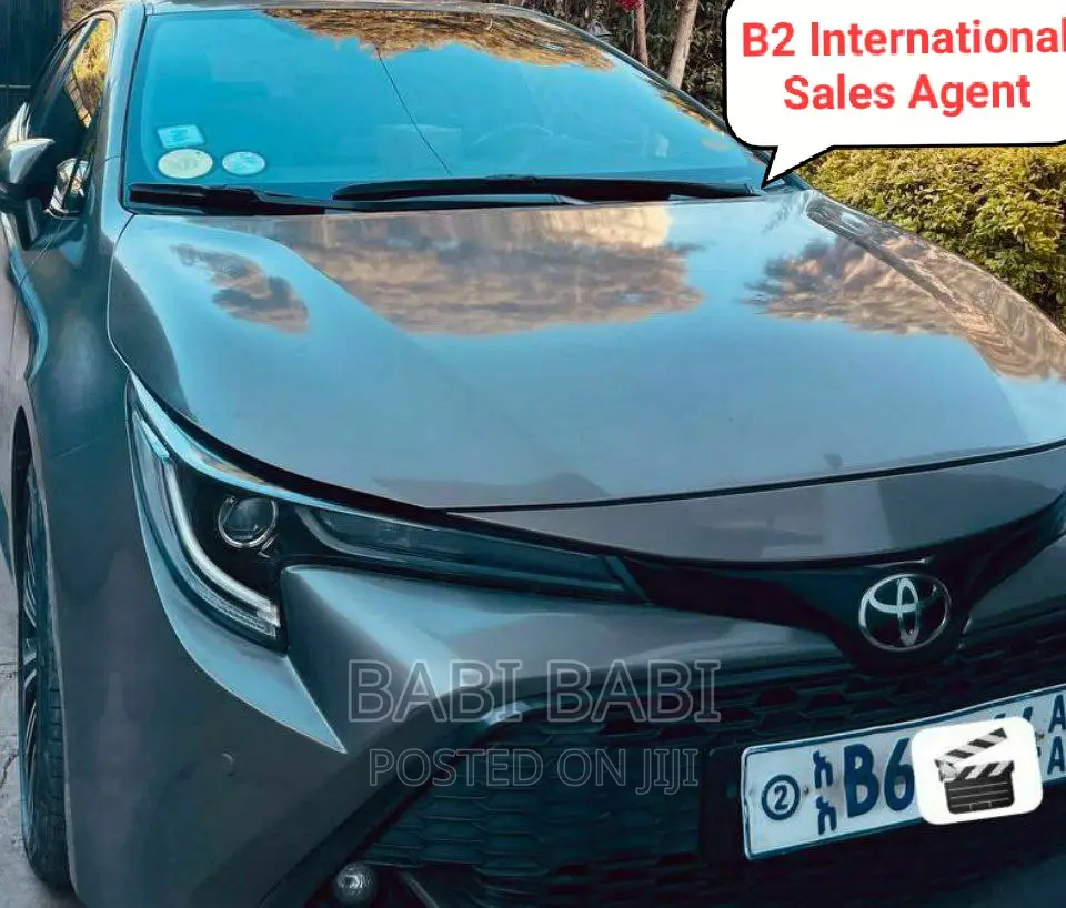 Toyota Corolla 2020 Gray