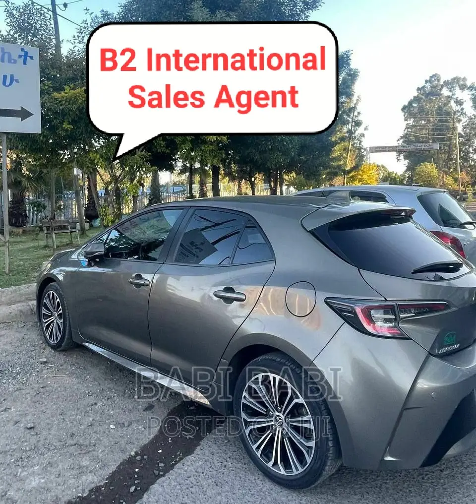 Toyota Corolla 2020 Gray