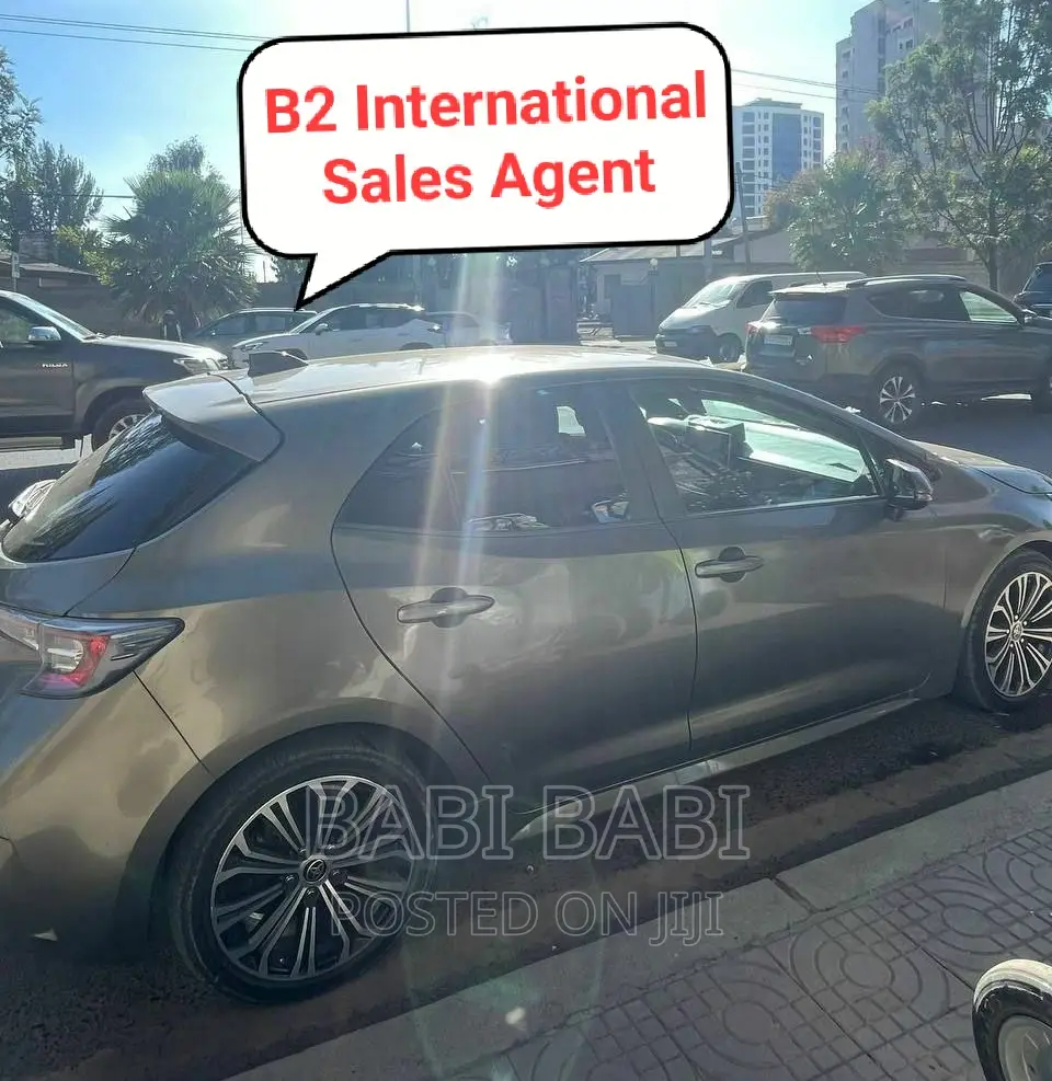 Toyota Corolla 2020 Gray