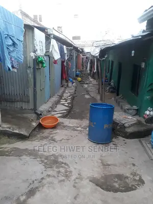 Yemeshet Ferash Bat Yalew Bota