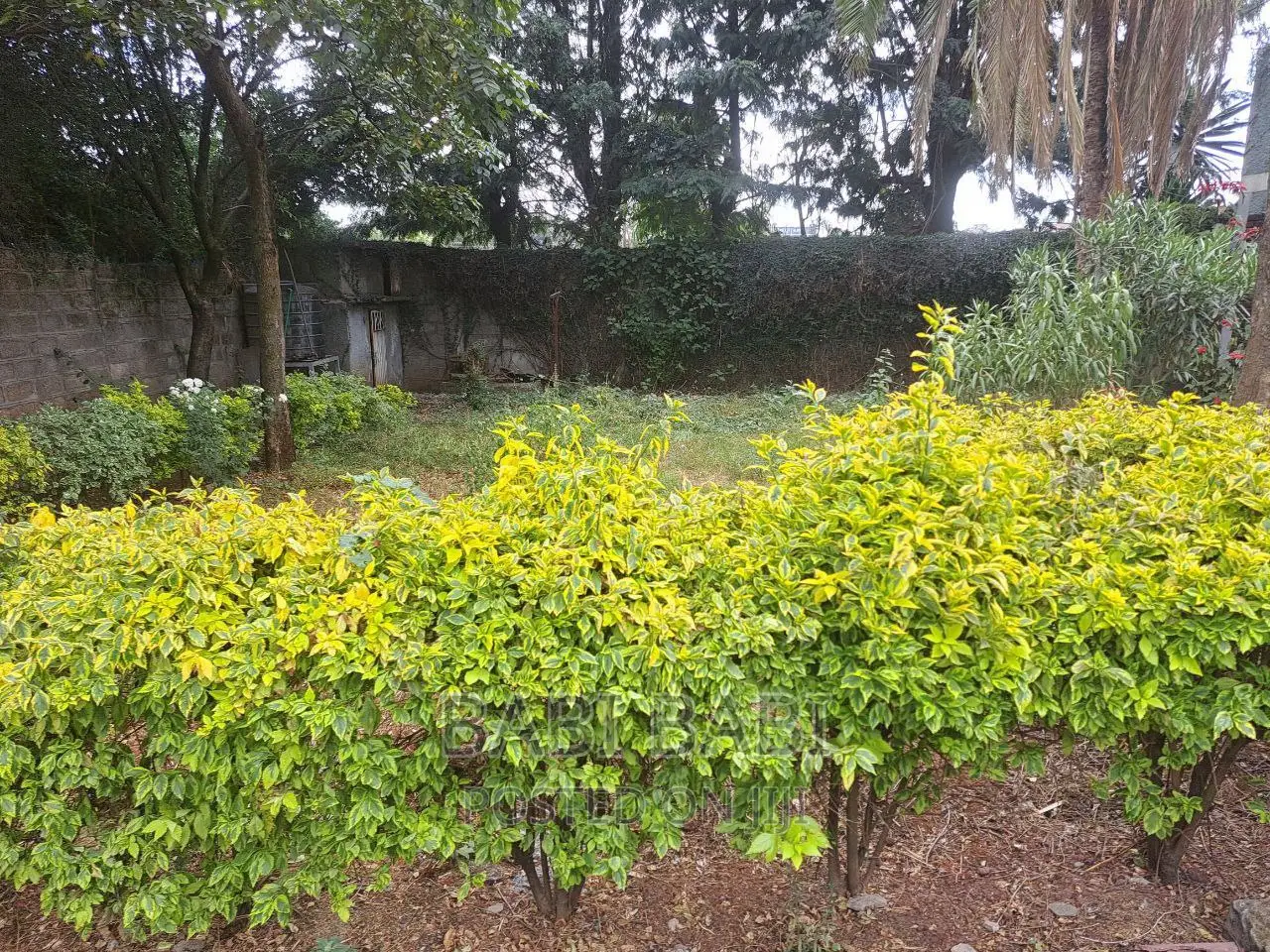 23,295M2 ለሽያጭ የቀረበ ቦታ አቃቂ አካባቢ (Land For Sale)