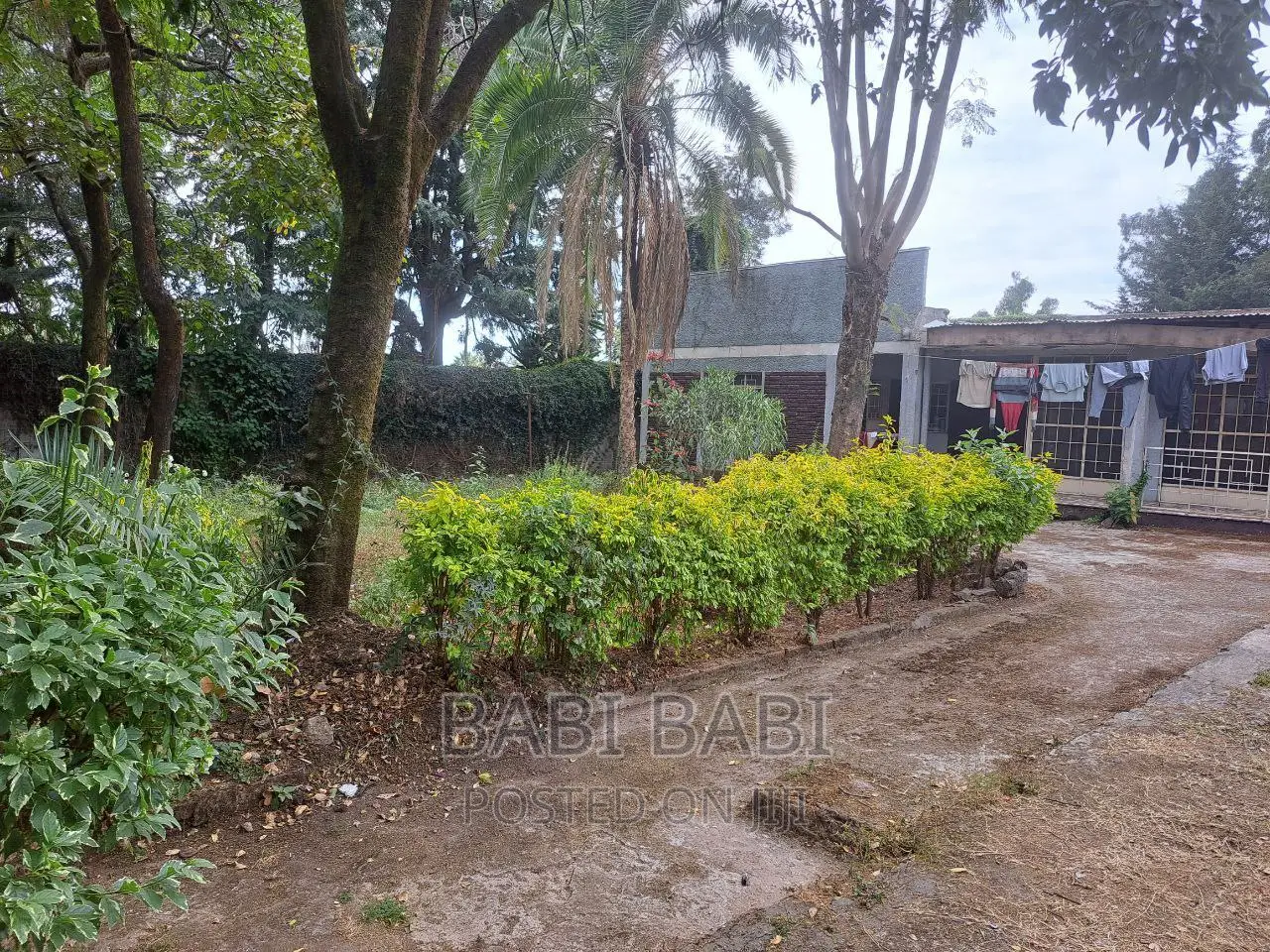 23,295M2 ለሽያጭ የቀረበ ቦታ አቃቂ አካባቢ (Land For Sale)