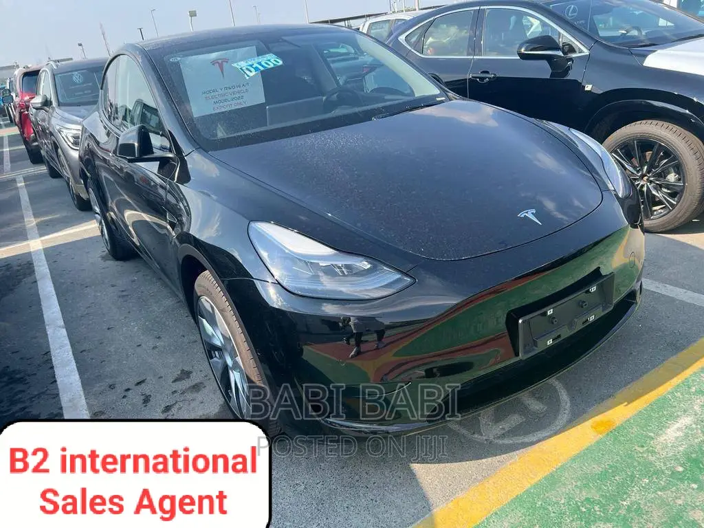 New Tesla Model Y 2023 Matt Black