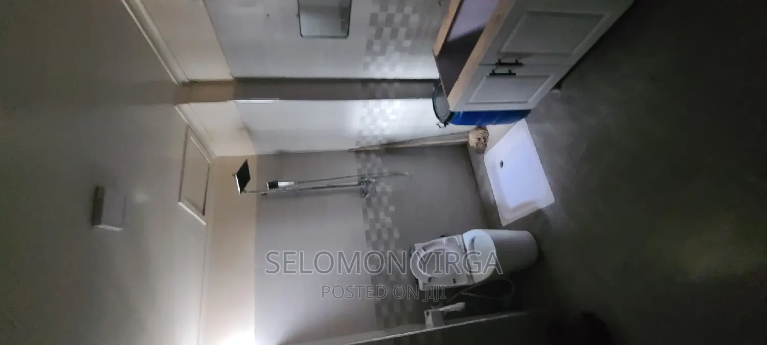 Furnished 3bdrm Apartment in Adis Abba, Bole for rent