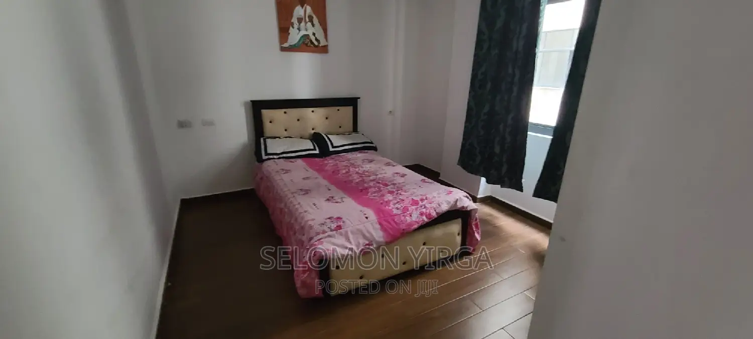 Furnished 3bdrm Apartment in Adis Abba, Bole for rent