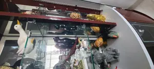 Furnished 3bdrm Apartment in Adis Abba, Bole for rent