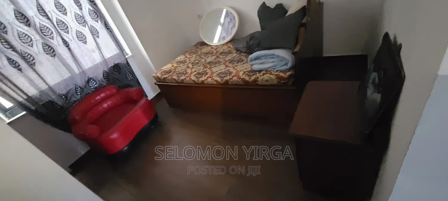 Furnished 3bdrm Apartment in Adis Abba, Bole for rent