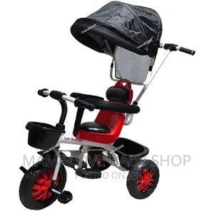 Tricycle for Baby Pushable 2in1