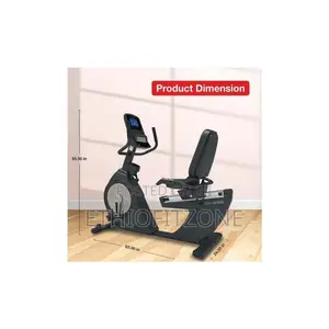Recumbent Bike