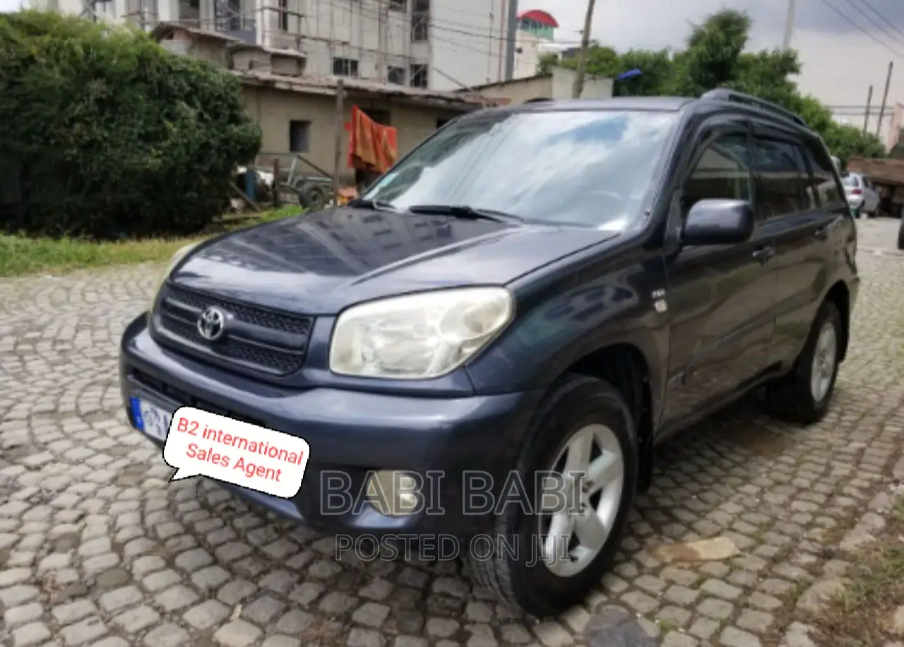 Toyota RAV4 2006 Gray