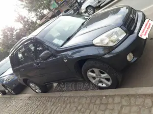 Toyota RAV4 2006 Gray