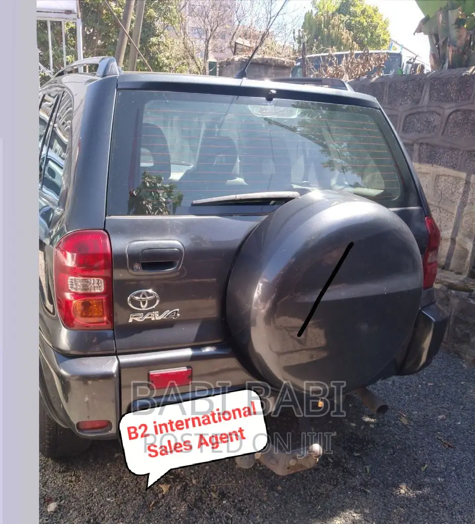 Toyota RAV4 2006 Gray