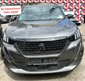 Photo - New Peugeot 2008 2023 Gray