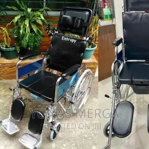 Wheelchair_popo Instant Mobility Victory Standard Wheelchair