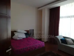 Furnished 1bdrm Apartment in Bole for rent