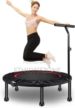 Sport Trampoline