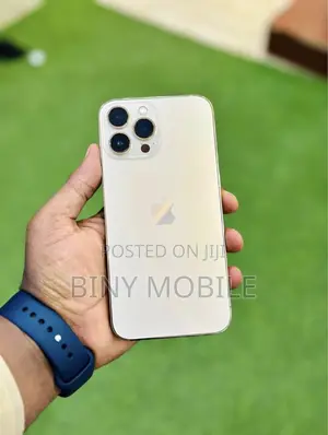 Apple iPhone 13 Pro Max 256 GB Gold