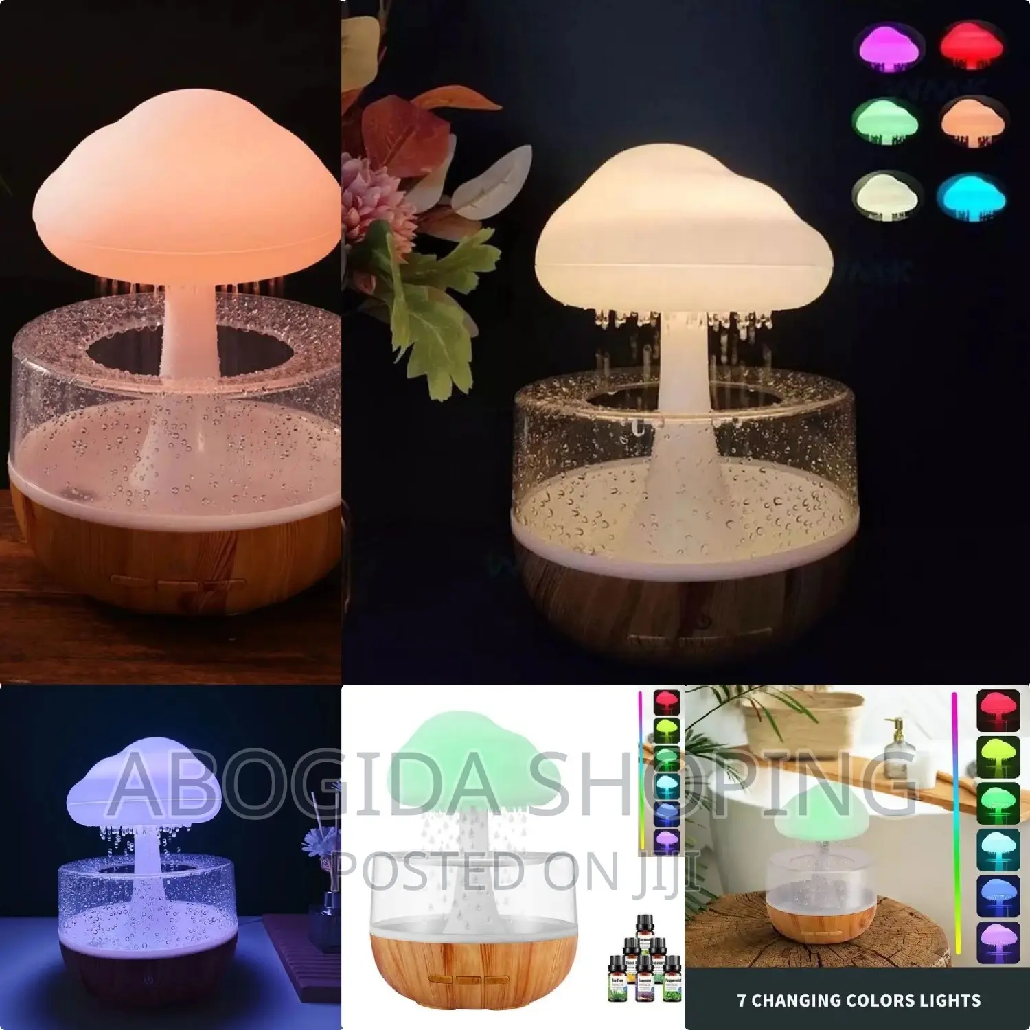 Cloud Rain Humidifier