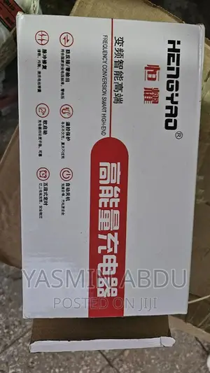 Electrical Motor Charger 60 V