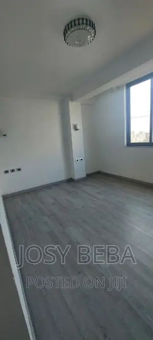 3bdrm Penthouse in Bole for rent