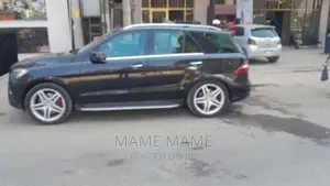 Mercedes-Benz 300TE 2017 Black