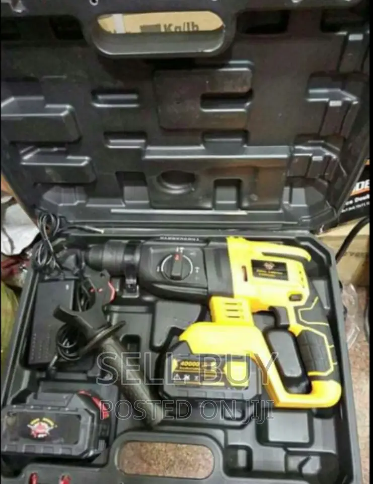 Iron Shark Charg Hammer Drill