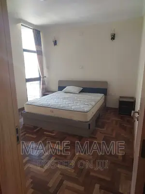Furnished 4bdrm Apartment in Addis Abeba, Bole for rent