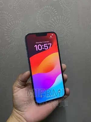 New Apple iPhone 13 Pro Max 256 GB Blue