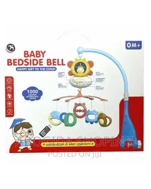 Photo - ብዙ የተለያዩ ልጆችን የሚያስፈነድቁ ሙዚቃዎች እና ክላሲካሎችን በአንድ የያዘ አስተማሪ