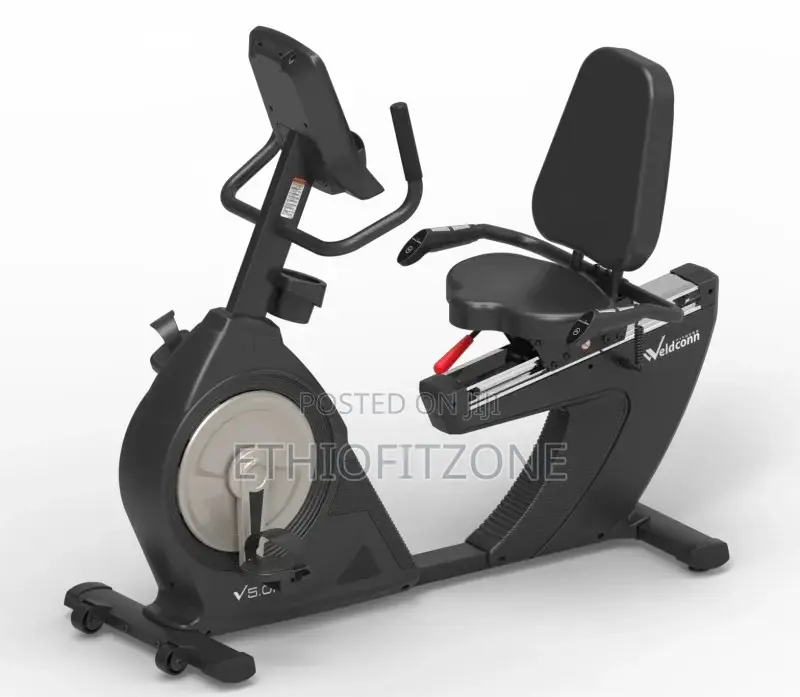 Commertial Recumbent Bike