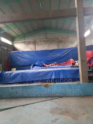 Photo - Soap ,Largo Manufacturing Plant