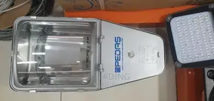 Street Light 250W With Lamp