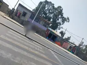 Furnished 6bdrm House in Wosene, Yeka for sale