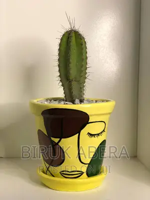 Photo - በእጅ የተሰራ የአበባ ማሰቀመጫ ሸክላ