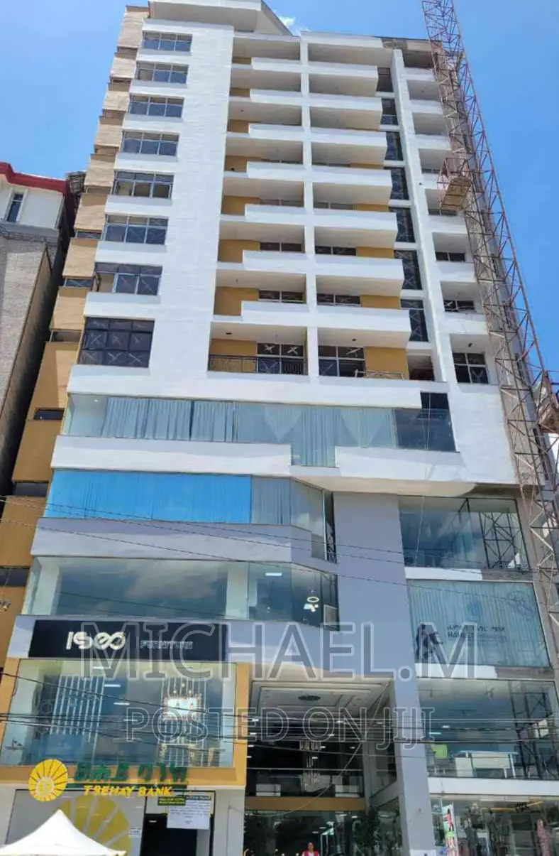 Furnished 4bdrm Apartment in Rahamet, Bole for sale