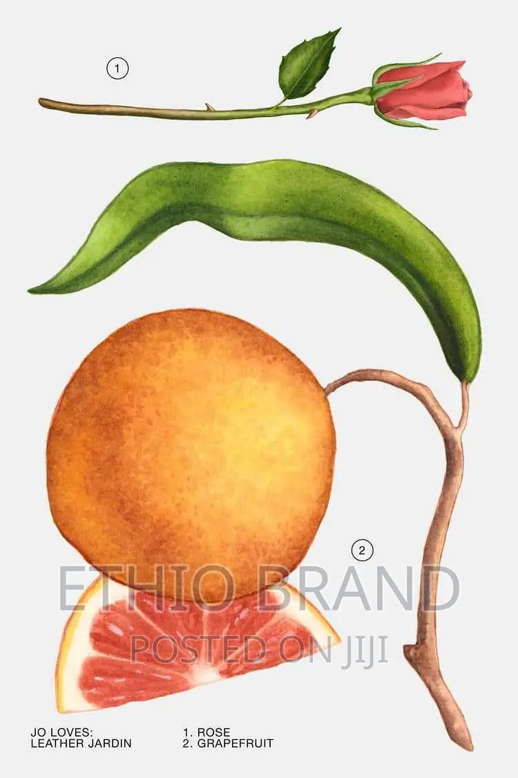 ዛራ ከኢሮፕ ለርሶ