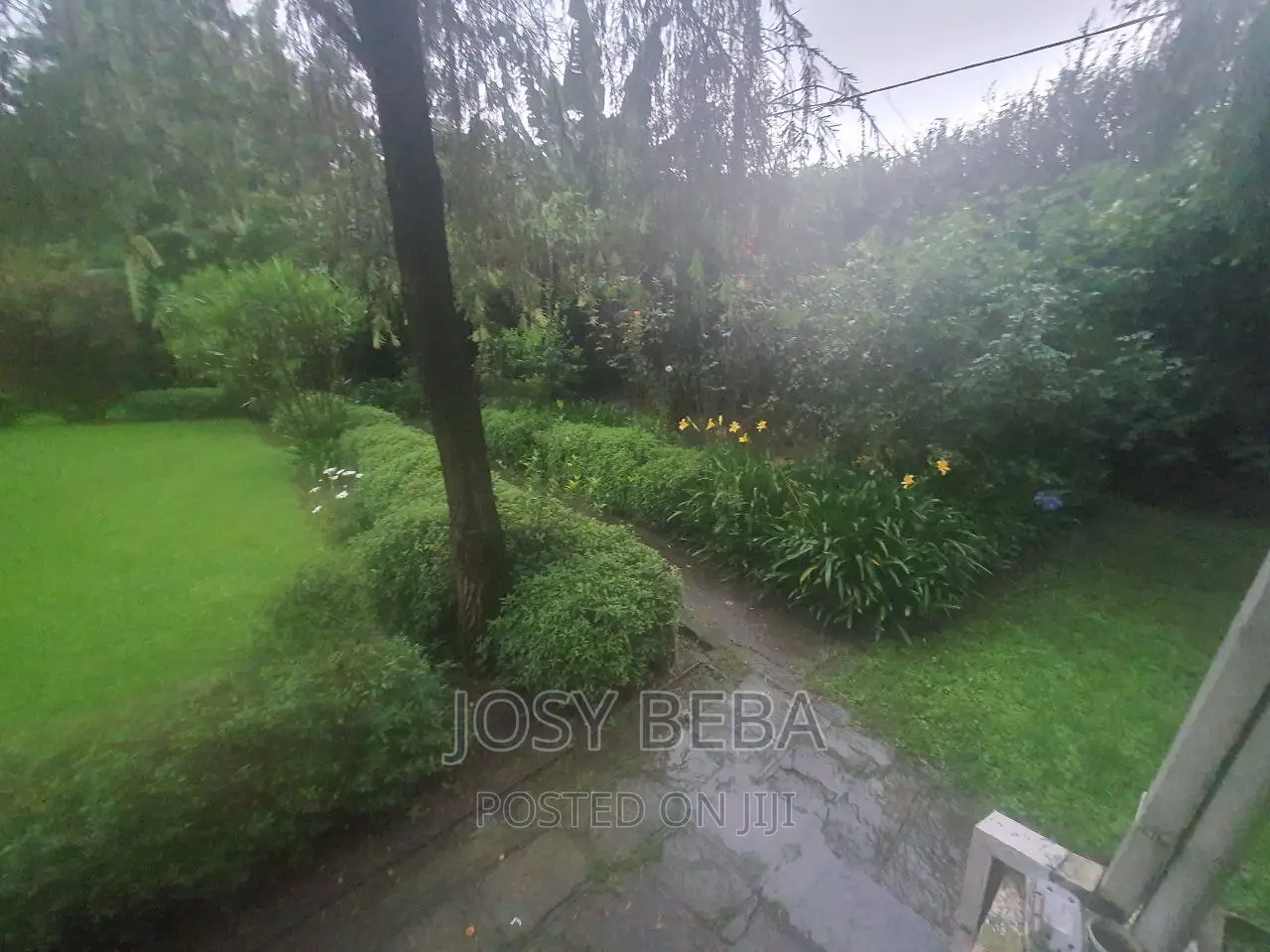 3bdrm House in Bole for rent