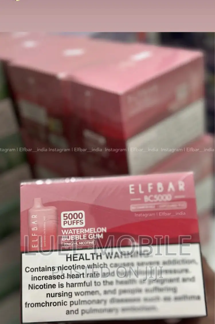 Elfbar Shisa Vape