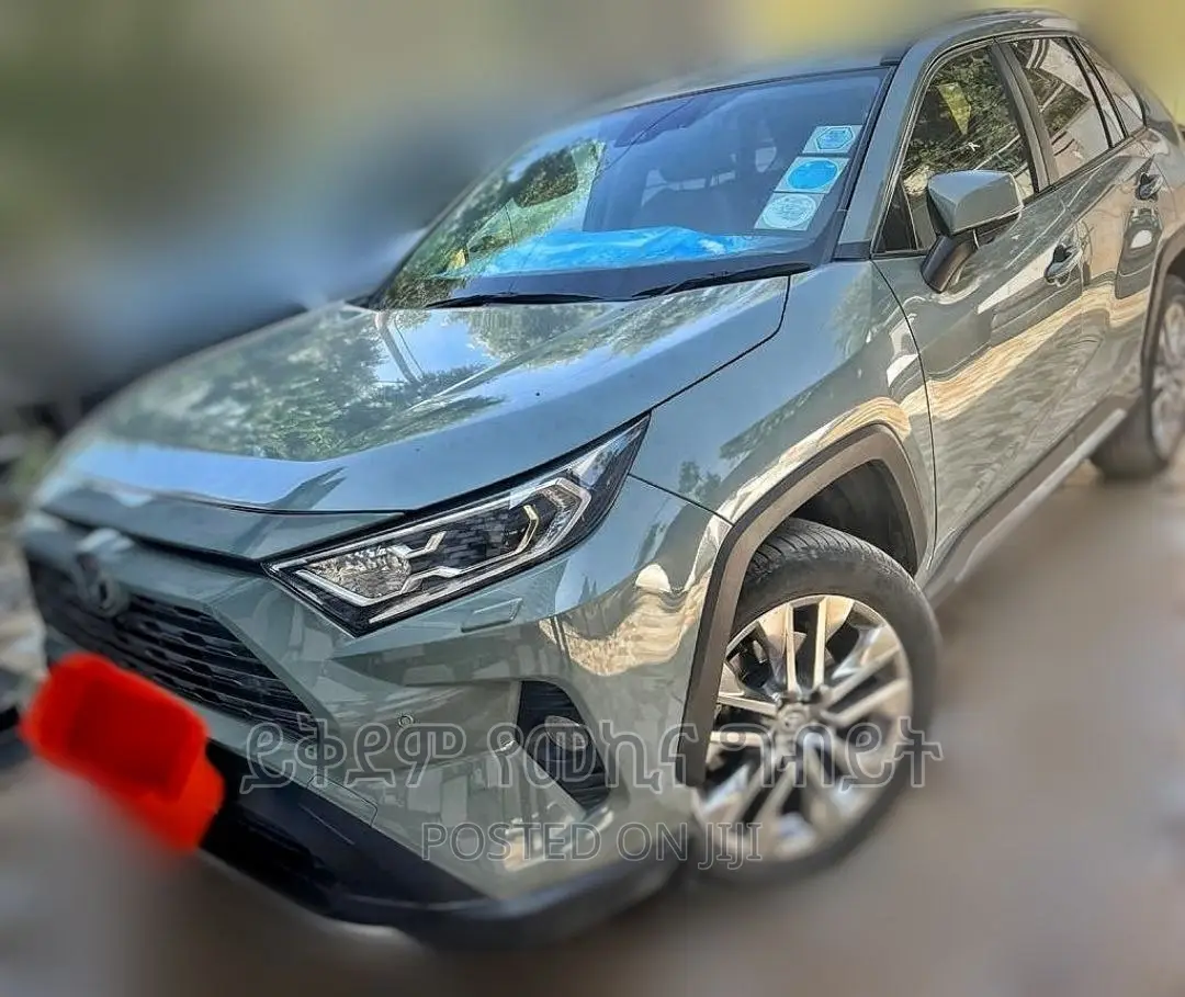 Toyota RAV4 2020 Gray