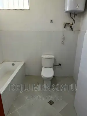 4bdrm Apartment in ፍየሌ ቤት, Bole for rent