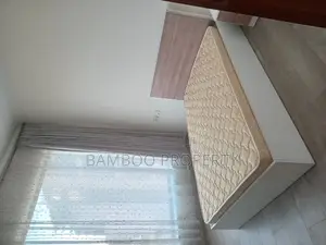 Furnished 2bdrm Apartment in Bole for rent