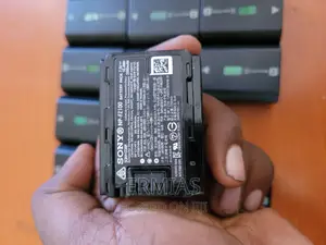 Sony Camera Battery NP FZ100