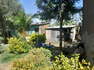 2bdrm House in Akaky Kaliti for sale