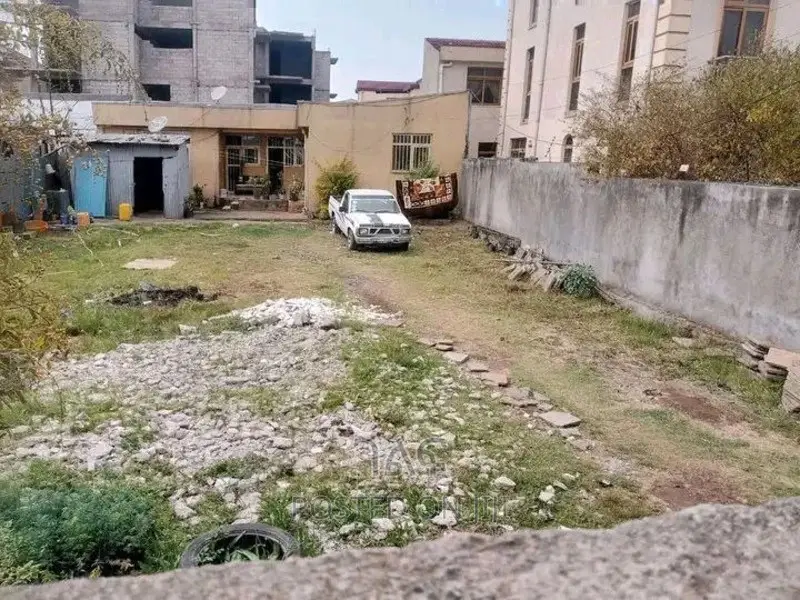 አያት ለመኖሪያ ምርጥ የሆነ ቦታ የዱሮ ዲጂታል ካርታ ያለው