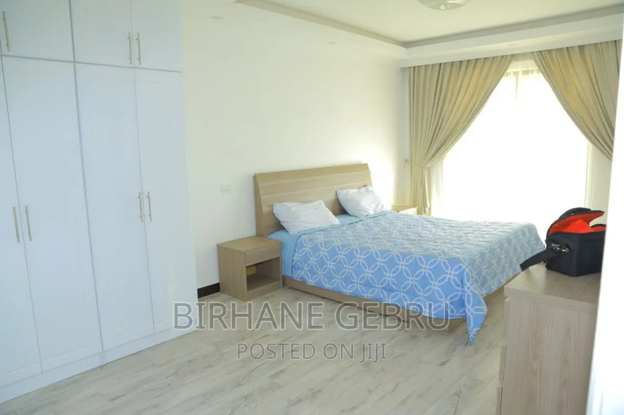 Furnished 3bdrm Penthouse in Real State, Bole for rent