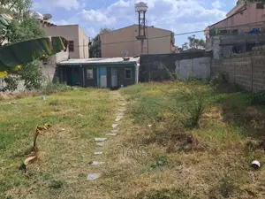 አያት ኮምፓውንድ ውስጥ በጣም ምርጥ ቦታ ለመኖሪያ እጅግ ተመራጭ አፓርትመንት ቢሉም ይሆናል!